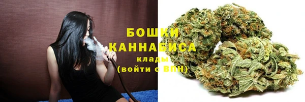 индика Нязепетровск