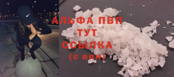 индика Нязепетровск