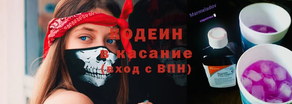 индика Нязепетровск