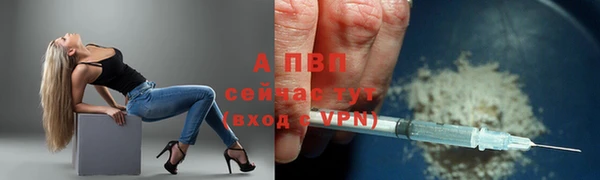 прущие крисы Няндома