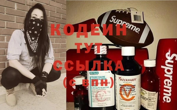 индика Нязепетровск