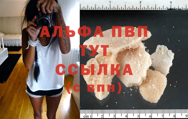 прущие крисы Няндома