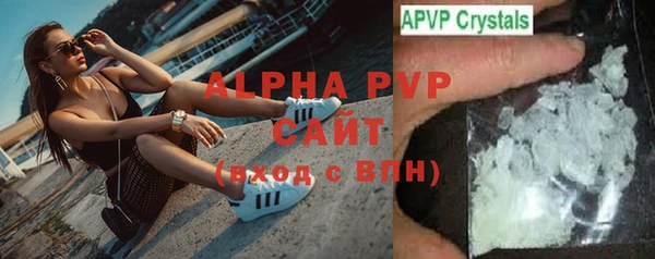 индика Нязепетровск