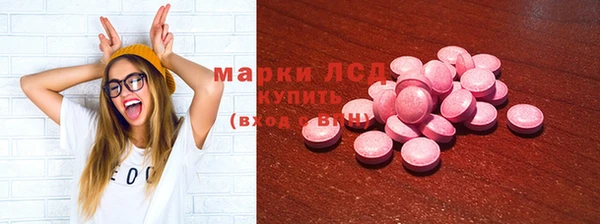 индика Нязепетровск