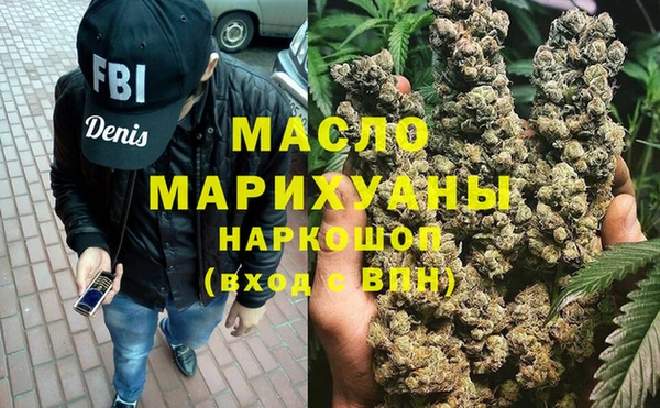 индика Нязепетровск