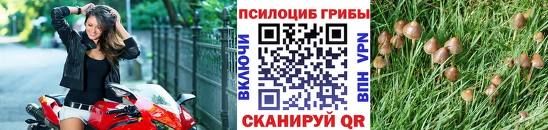 купить закладку  Бологое  маркетплейс клад  Галлюциногенные грибы GOLDEN TEACHER 