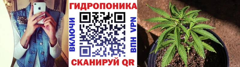 Каннабис VHQ Бологое
